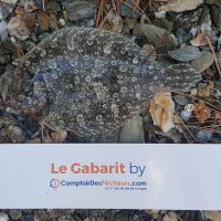 photo prise 1194 par LORIS