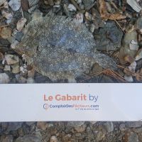 photo prise 1195 par LORIS