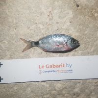 photo prise 1224 par LORIS
