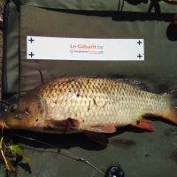 photo prise 1225 par Emilien Feron Fishing