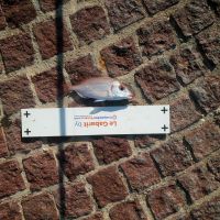 photo prise 1254 par haddock