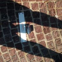 photo prise 1256 par haddock