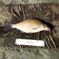 photo prise 1279 par Emilien Feron Fishing