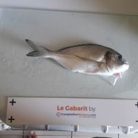 photo prise 1283 par Laetitia Sassane