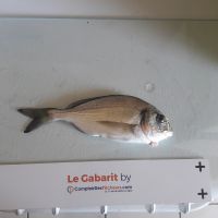 photo prise 1284 par Laetitia Sassane