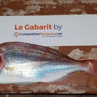 photo prise 1305 par Ibra pêche