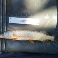 photo prise 1322 par Emilien Feron Fishing