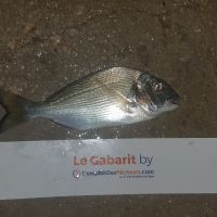 photo prise 1342 par LORIS