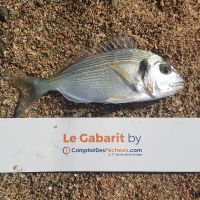 photo prise 1343 par LORIS