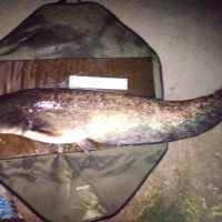 photo prise 1392 par Emilien Feron Fishing
