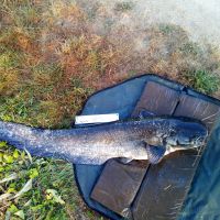 photo prise 1393 par Emilien Feron Fishing