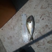 photo prise 1548 par Guy le Pescail
