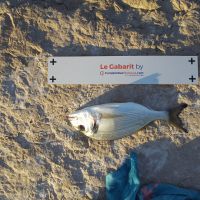 photo prise 1589 par Houang