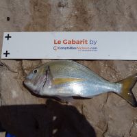 photo prise 1593 par Houang