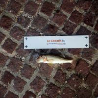 photo prise 1617 par Laetitia Sassane