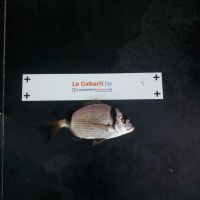 photo prise 1620 par Laetitia Sassane