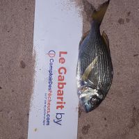 photo prise 1706 par Houang