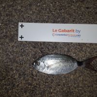 photo prise 1716 par Houang