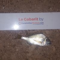 photo prise 1740 par Houang