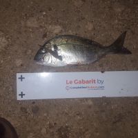 photo prise 1743 par Houang