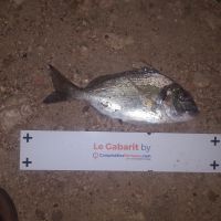 photo prise 1744 par Houang