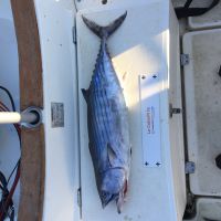 photo prise 1796 par Chrisfishing