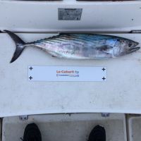 photo prise 1798 par Chrisfishing