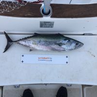 photo prise 1799 par Chrisfishing