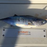 photo prise 1800 par Chrisfishing