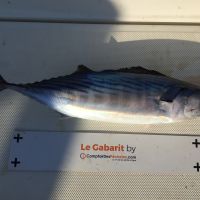 photo prise 1801 par Chrisfishing