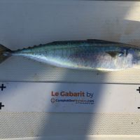 photo prise 1802 par Chrisfishing