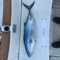 photo prise 1804 par Chrisfishing