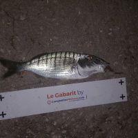 photo prise 1945 par Flo83