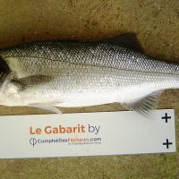 photo prise 2364 par Jeannot