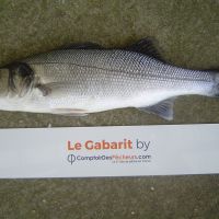 photo prise 2372 par Jeannot