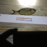 photo prise 2462 par Laurent
