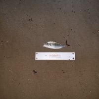 photo prise 2465 par Pierre Roux