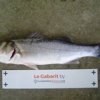 photo prise 2466 par Jeannot