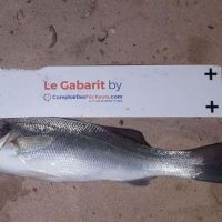photo prise 2478 par Nathan Barbier PN
