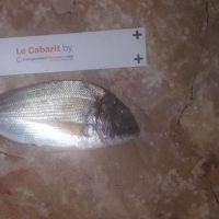 photo prise 2480 par Nathan Barbier PN