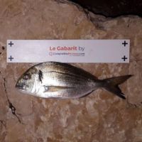 photo prise 2483 par Nathan Barbier PN