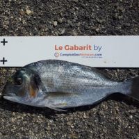 photo prise 2484 par Nathan Barbier PN