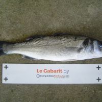 photo prise 2486 par Jeannot