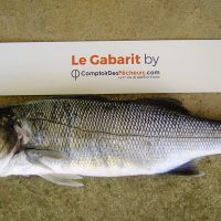 photo prise 2487 par Jeannot