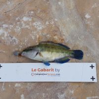 photo prise 2494 par Pierre Roux