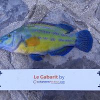 photo prise 2534 par Pierre Roux
