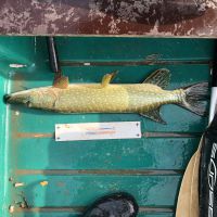 photo prise 2567 par AKIL-fishing