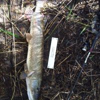 photo prise 2577 par Zander-TraKeur