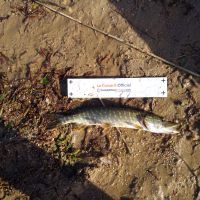 photo prise 2579 par Zander-TraKeur