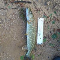 photo prise 2580 par Zander-TraKeur